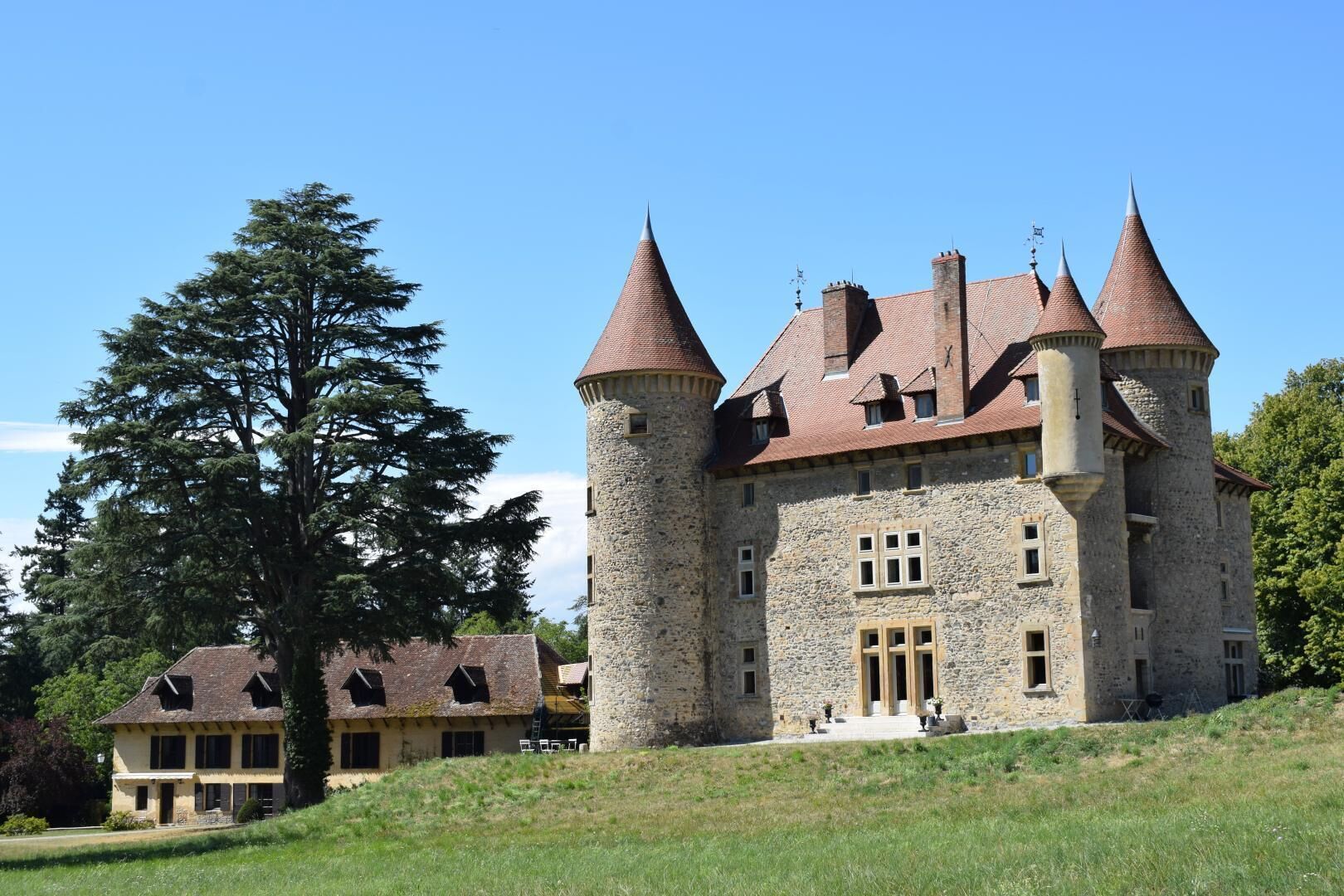Un château doté de nombreuses tours, un grand arbre au premier plan et un bâtiment plus petit en arrière-plan.