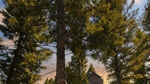 A cabin with a wooden deck, surrounded by trees. - Sagebrush Meadows+Hotub+WiFi+20minsYellowstone (Island Park)