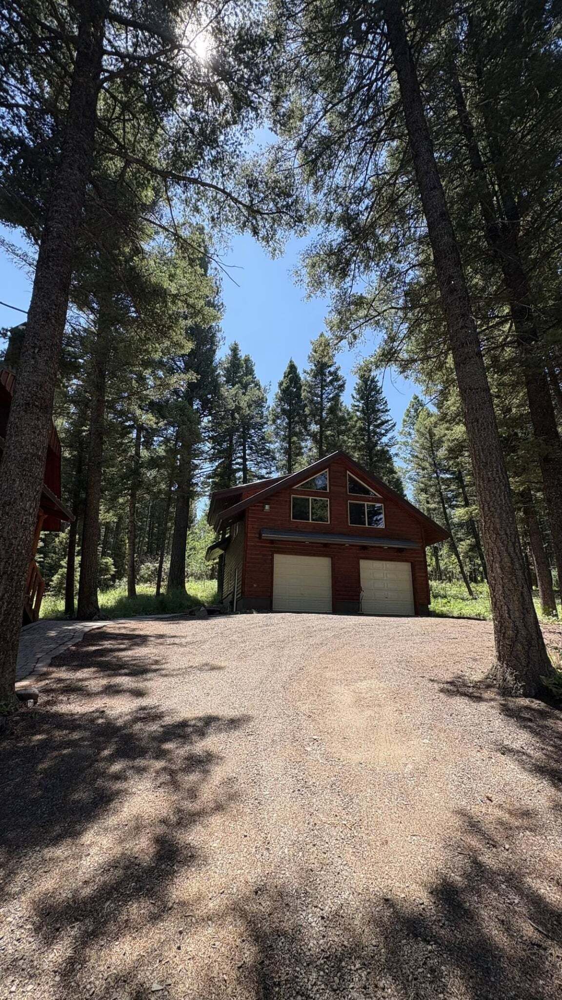 A cabin with a gravel driveway, surrounded by tall pine trees.