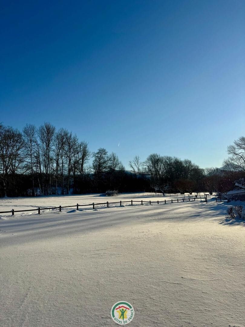 A snow-covered outdoor area with a fence and trees in the background.