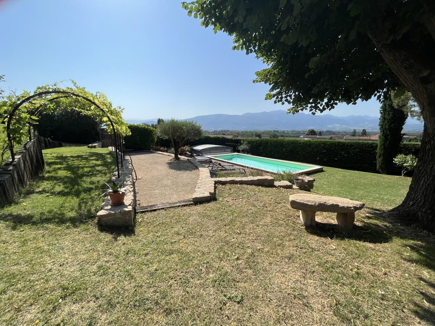 A backyard with a swimming pool, a grassy lawn, and a stone bench.