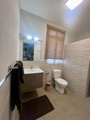 A bathroom with a sink, toilet, and shower area. - Lakaz Poz - Bed & Breakfast - 200m de la mer (Albion)