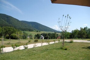 Paisatge rural amb cel blau, un arbre petit i una casa allunyada.