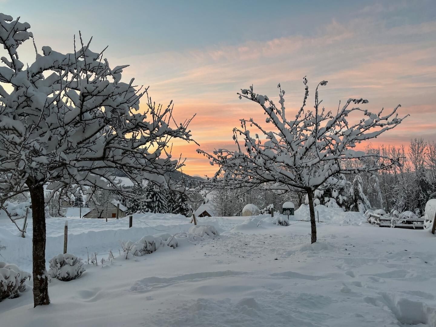 A snow-covered landscape with trees and a clear sky.