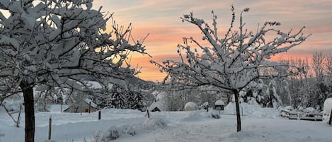 A snow-covered landscape with trees and a clear sky.