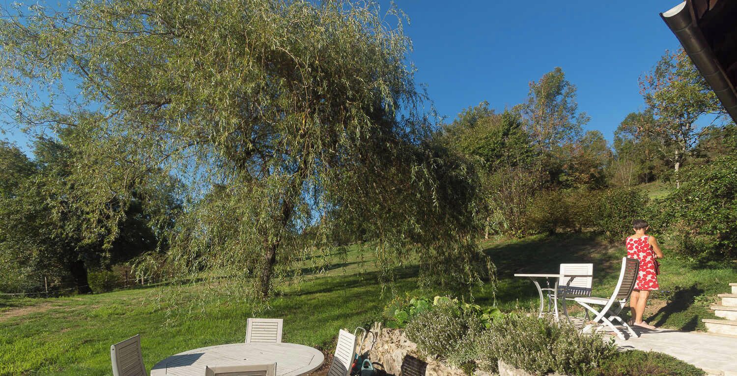 Un espace extérieur aménagé avec une table ronde et des chaises, entouré de verdure et d’arbres.