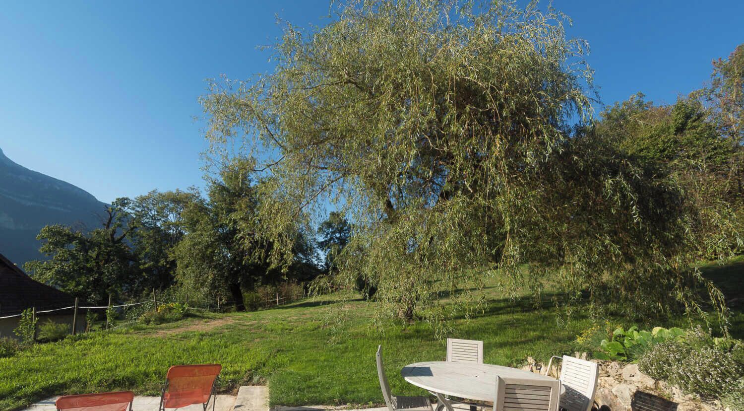 A patio with a table and chairs, surrounded by greenery and a tree.