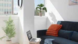 Ein modernes Wohnzimmer mit einem dunkelblauen Sofa, einem kleinen runden Tisch mit einem Laptop und einer Topfpflanze.