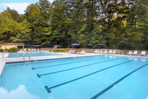 Piscina com várias pistas, rodeada por espreguiçadeiras e guarda-sóis, com árvores densas ao fundo.
