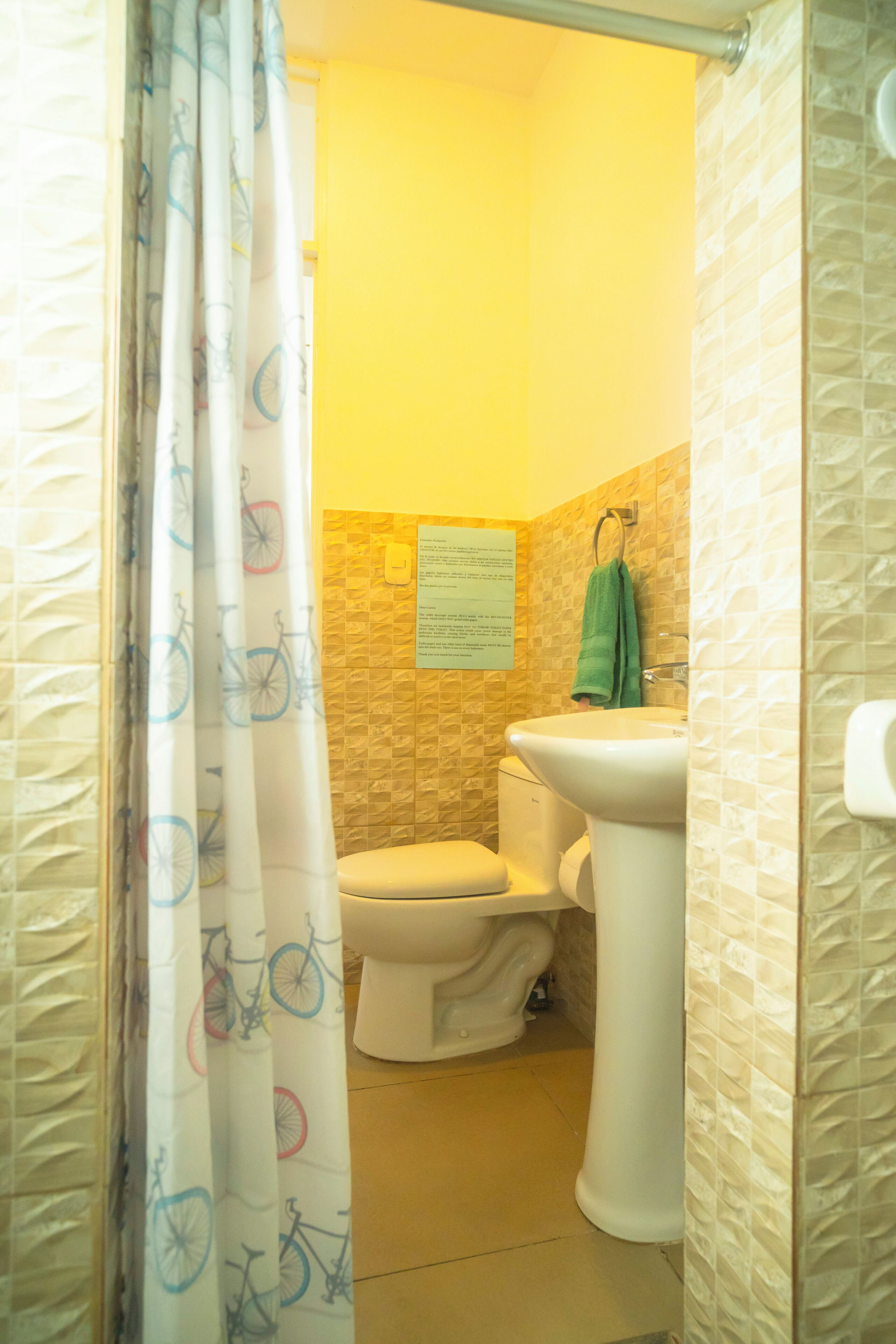 Shower, towels