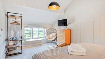 Un dormitorio con cama, una silla colgante, armario, televisor y ventana con vistas a zonas verdes.