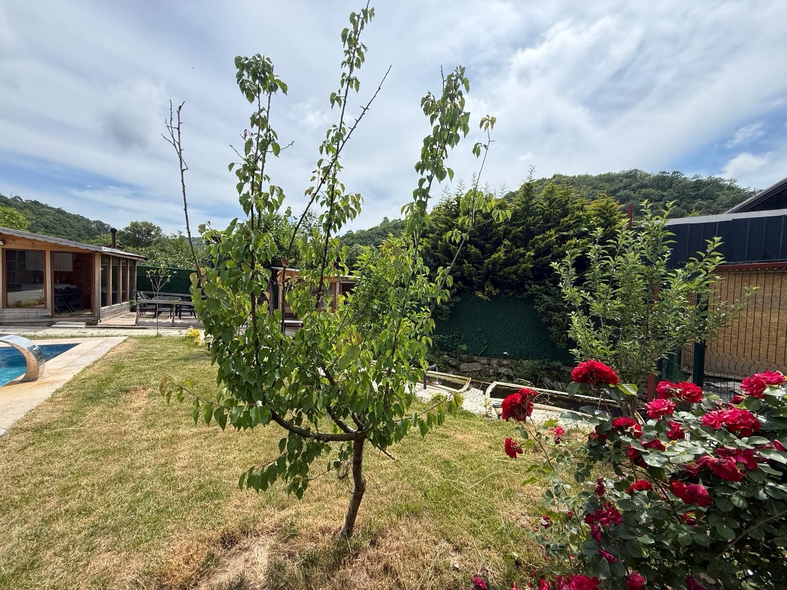 Una propiedad residencial con piscina, patio y jardín con plantas en flor.