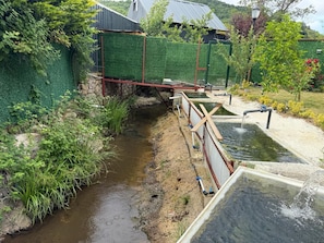 A small water channel with a wooden bridge, surrounded by greenery and a metal fence.