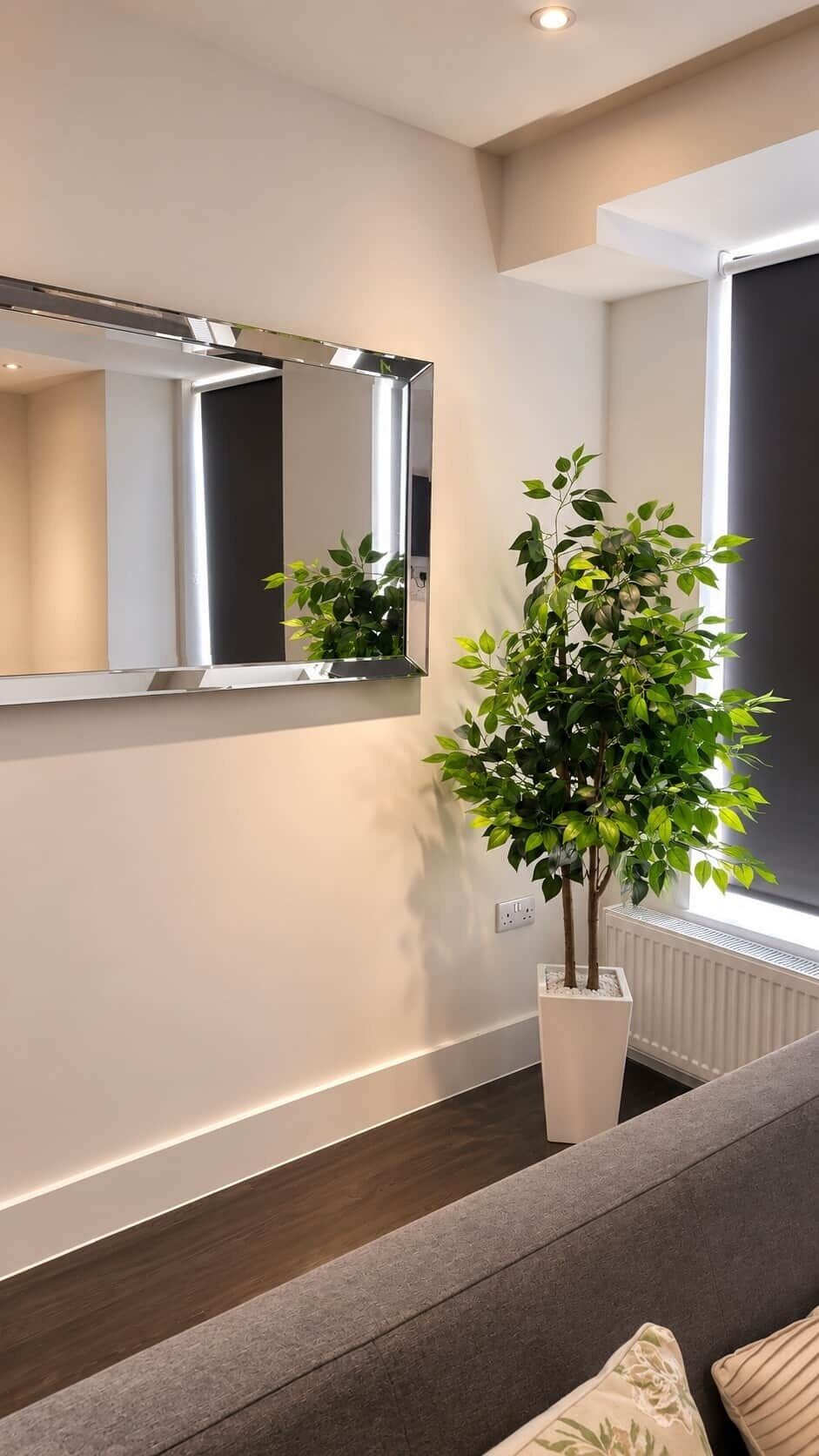 Una sala moderna con un espejo grande, una planta en maceta y un ventanal.