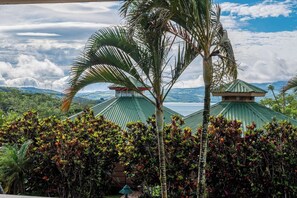 A view of a building with green roofs, surrounded by dense tropical vegetation.