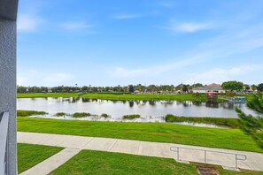 Blick auf einen See mit einer grünen Wiese im Vordergrund und Gebäuden im Hintergrund.
