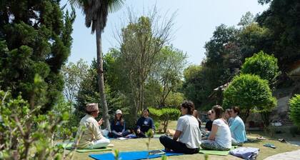 Nepal Yoga Academy and Retreat