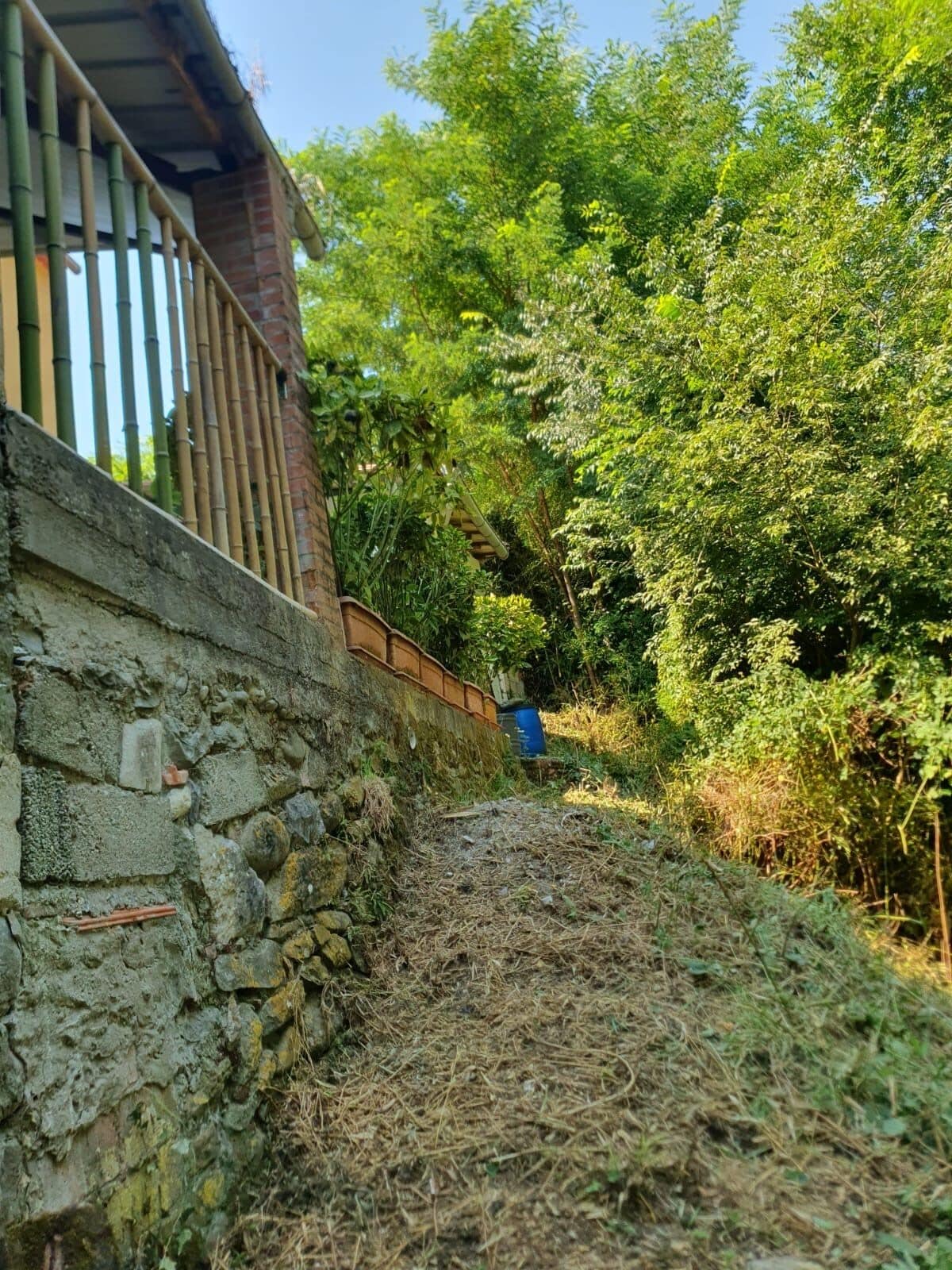 Parco della struttura
