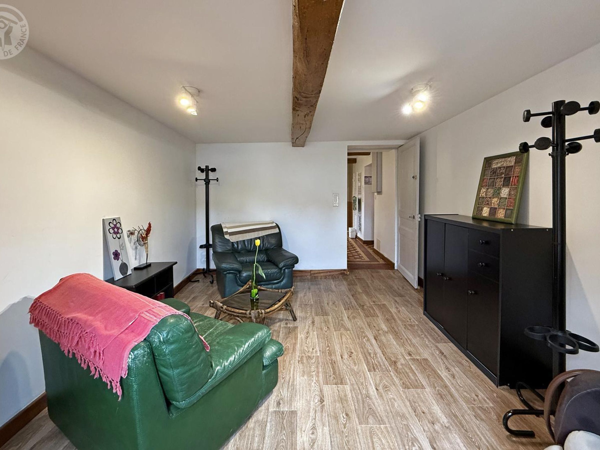 Een woonkamer met een groene bank, een zwarte fauteuil, een klein tafeltje met een vaas, een zwarte kast en een houten vloer.