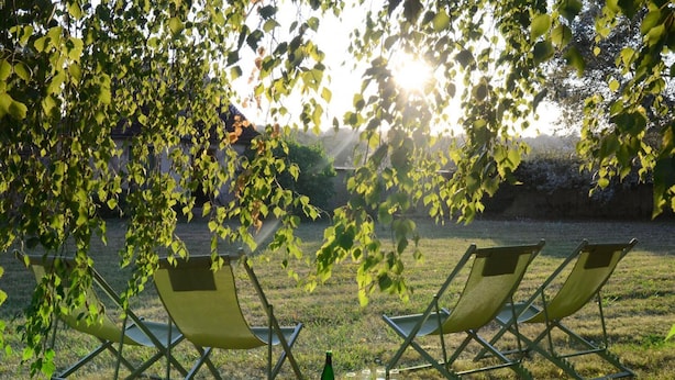 Dos sillas al aire libre bajo un árbol, con una botella y vasos en el suelo.