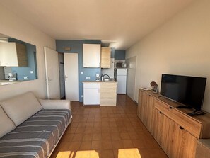 Ein kompakter Wohnbereich mit Küchenzeile, einer Couch, einem Fernseher und einem Holzschrank.