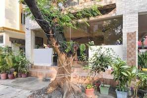 Un árbol con un cartel blanco sujeto a su tronco, rodeado de macetas con diversas plantas.