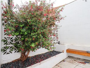 A small tree with red flowers in a white-walled area with a bench and a decorative white lattice. - Og's House (Whitby)