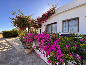 Un edificio con fachada blanca, una pérgola de madera y plantas florecientes de color rosa.