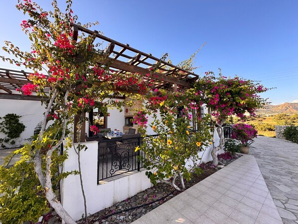 Terassi/patio