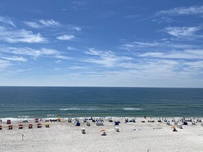 A beach with numerous umbrellas and sun loungers, a clear sky, and the ocean in the background. - Shoalwater 604 by Liquid Life (Orange Beach)