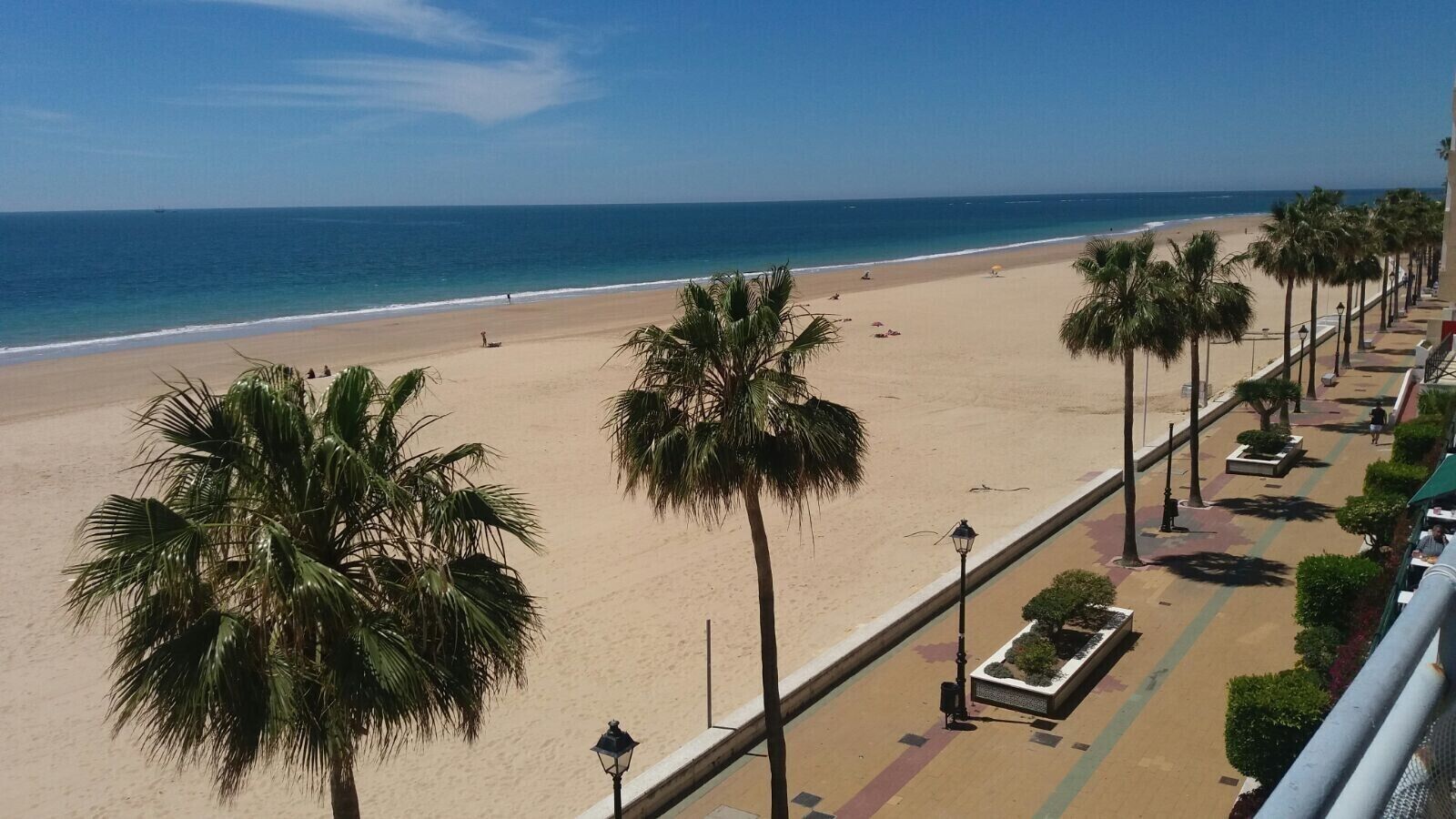 A beach with palm trees and a walkway.