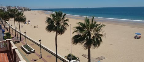 Una playa con palmeras, un paseo marítimo y vistas al océano.