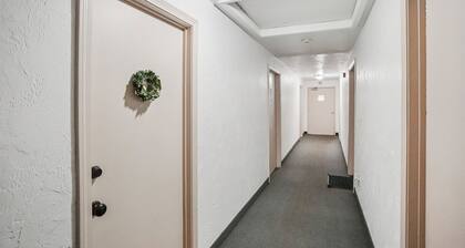 Cozy 1-BDR condo in Mansfield Close to commuter station to Boston & Providence