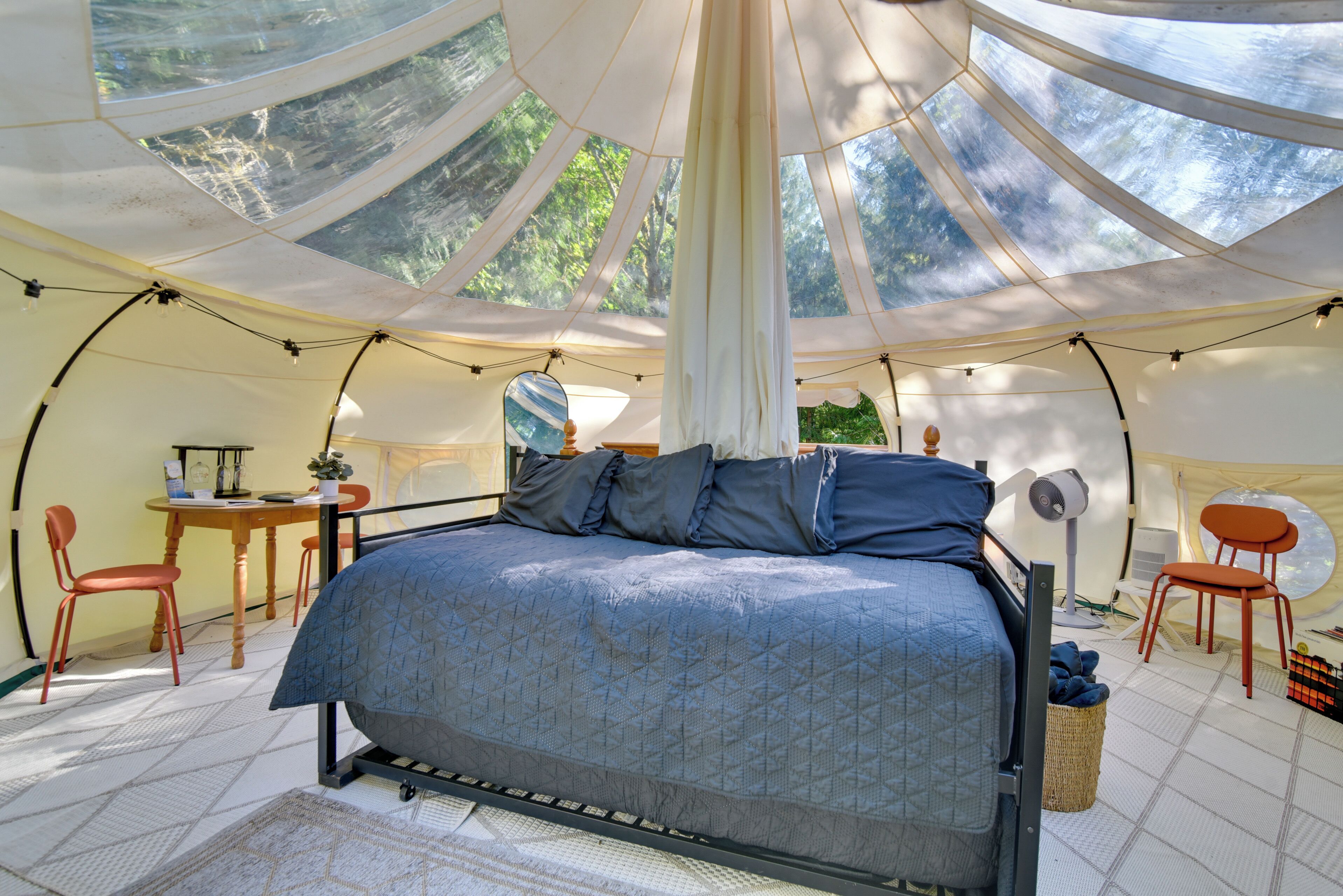 House (Multiple Bedrooms) | Interior