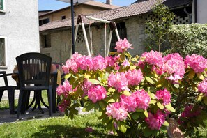 Un jardín con flores rosadas, una silla negra y un edificio con tejado de tejas.