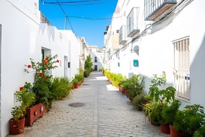 Uma rua de paralelepípedos estreita, ladeada por edifícios brancos com varandas e vasos de plantas.