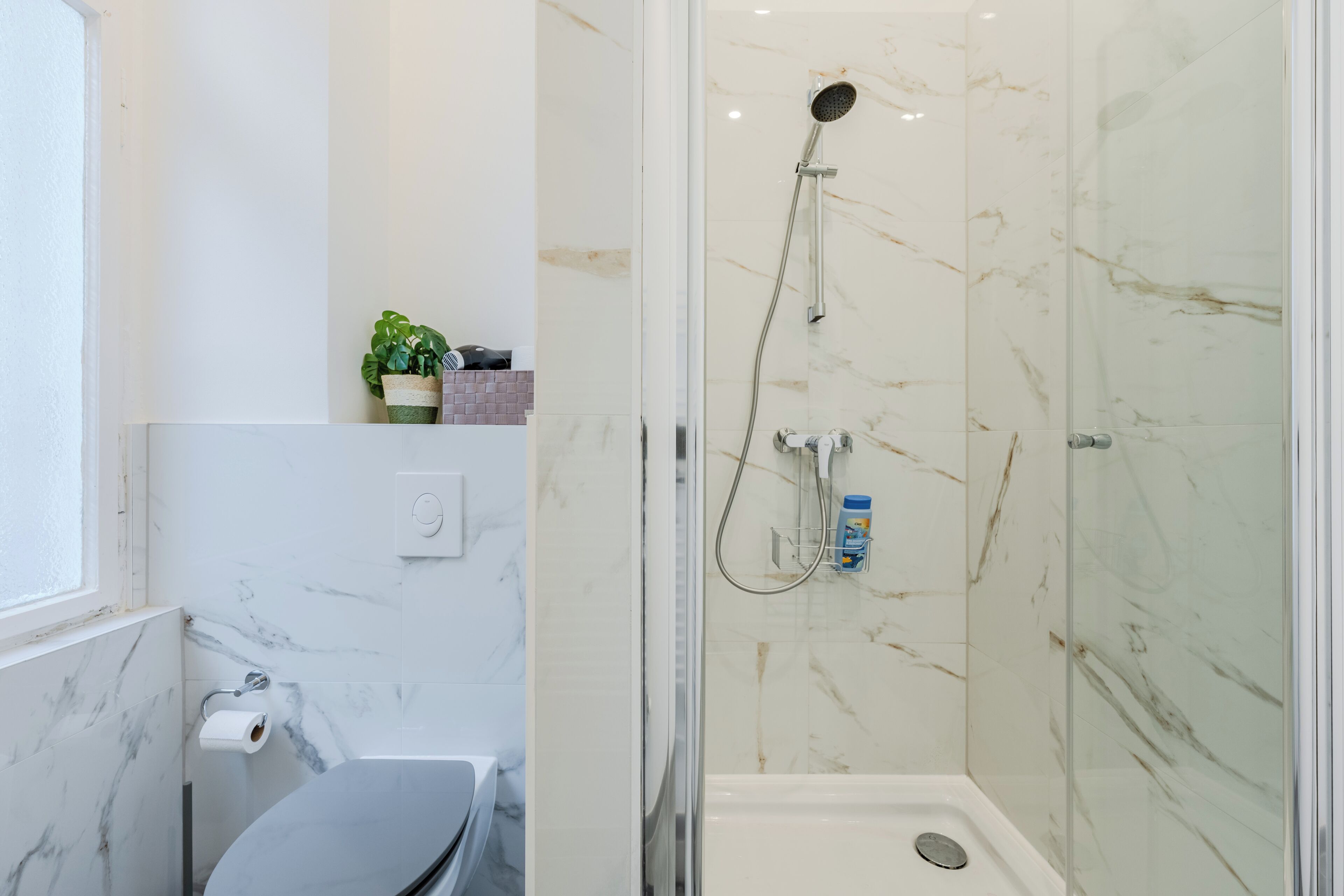 A modern bathroom with a shower, toilet, and a small shelf with a plant.