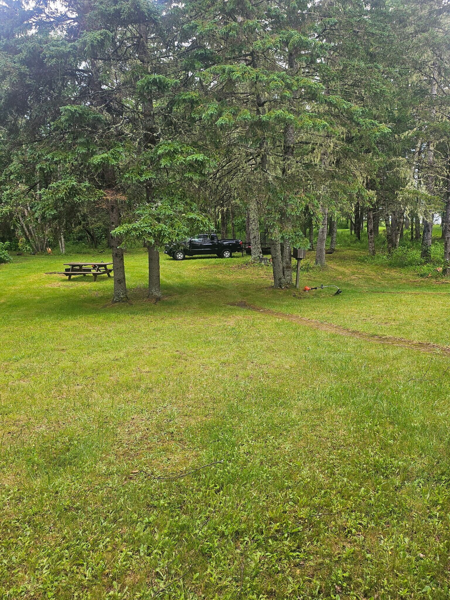 A grassy park area with trees, a picnic table, and a vehicle.