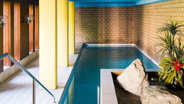 Piscina com borda azulejada, um elemento rochoso e um arranjo de plantas.
