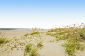 Ein Sandstrand mit Dünen und Gras.