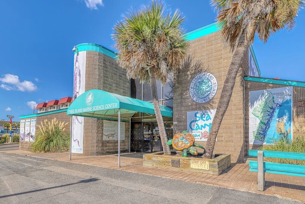 The exterior of the Tybee Island Marine Science Center with a blue canopy, palm trees, and a turtle sculpture.