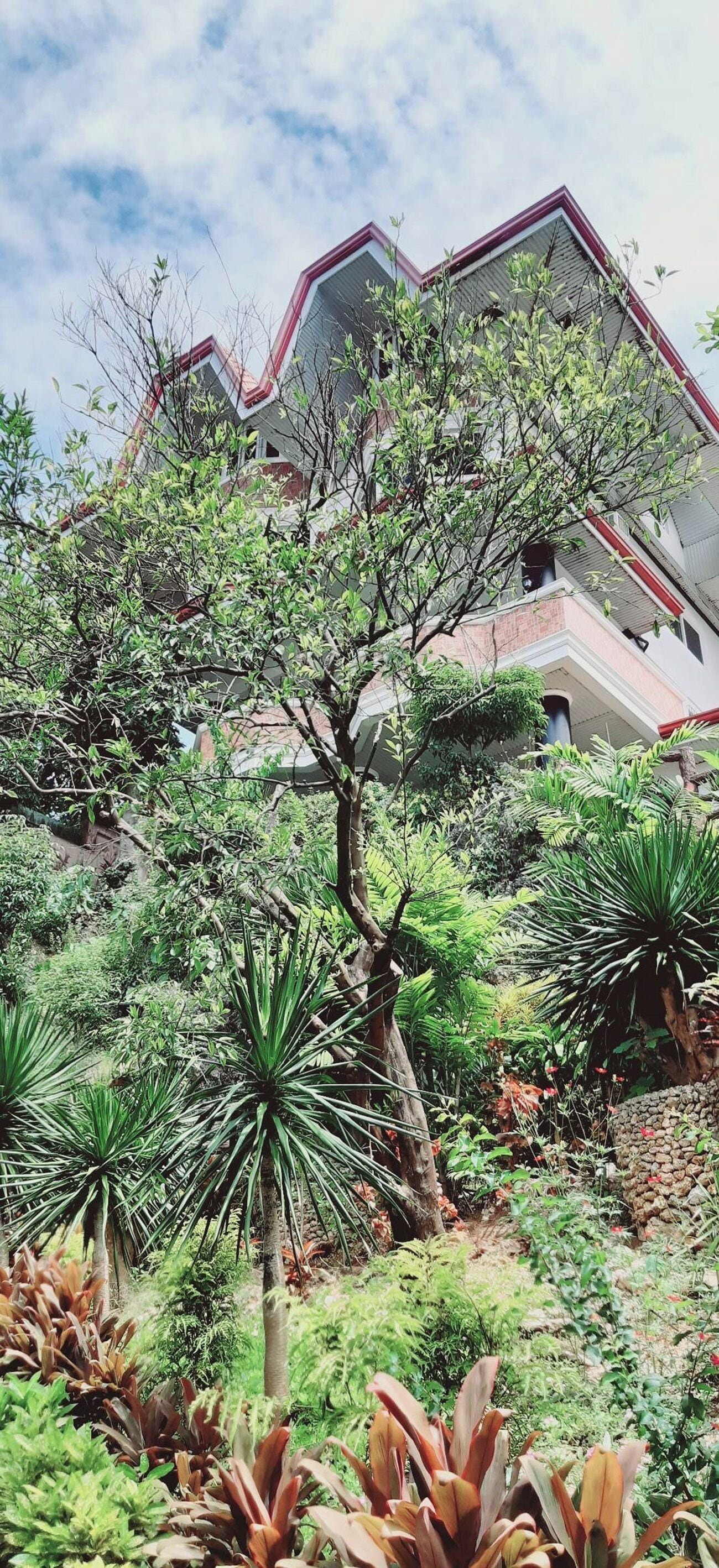 Jardín