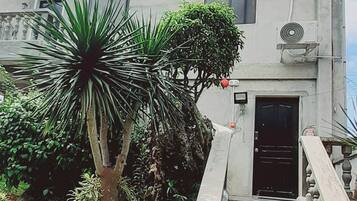 A building with a staircase leading to a door, surrounded by various plants and a small garden area.