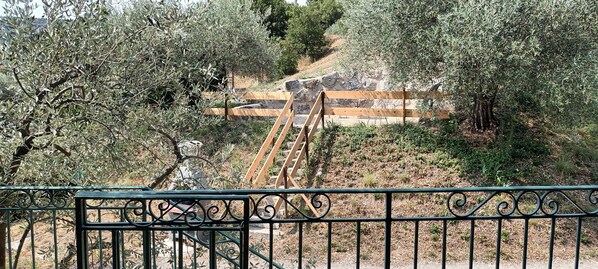 A stone staircase leading up to a building surrounded by olive trees.