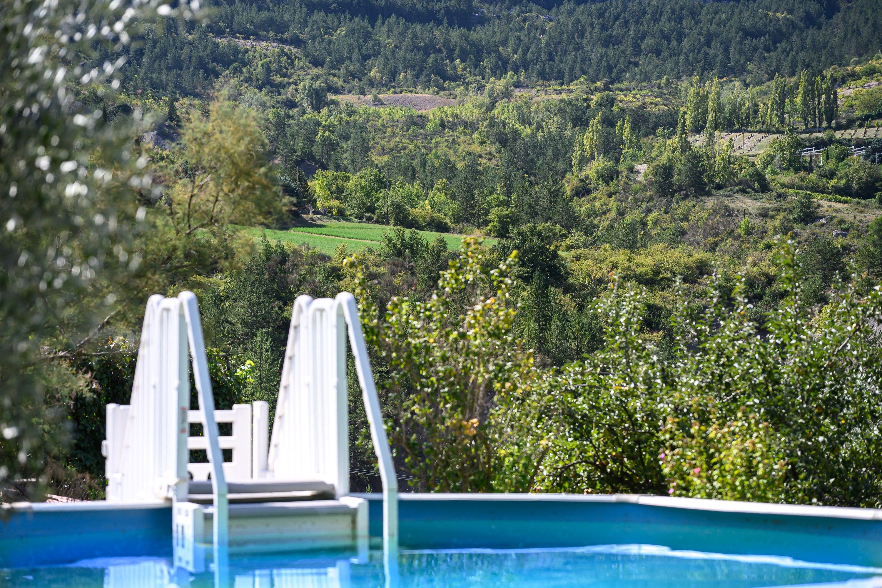 A swimming pool with a view of a green landscape and trees.