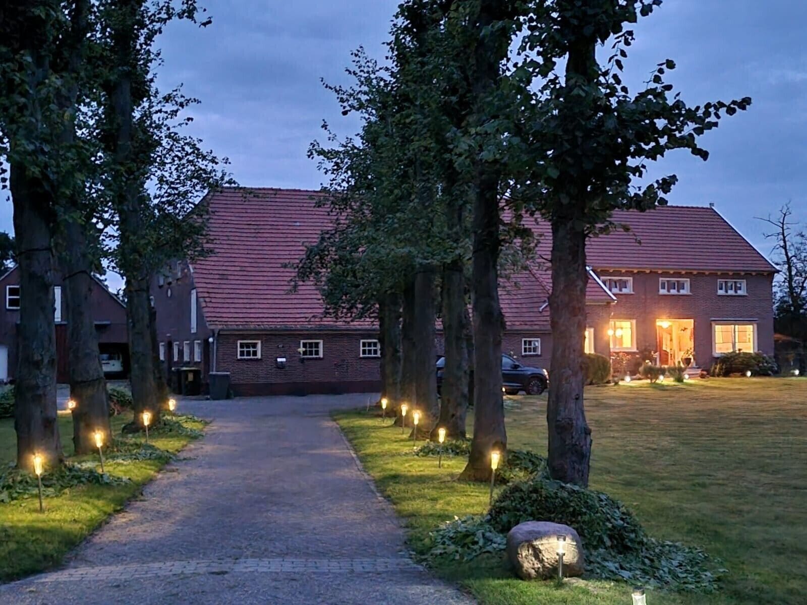 A pathway leading to a house with a red roof, surrounded by trees and lit by ground lights.