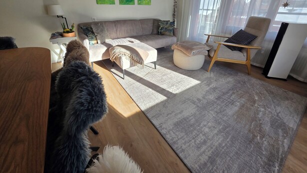 Una sala de estar moderna con sofá, reposapiés, sillón y alfombra.