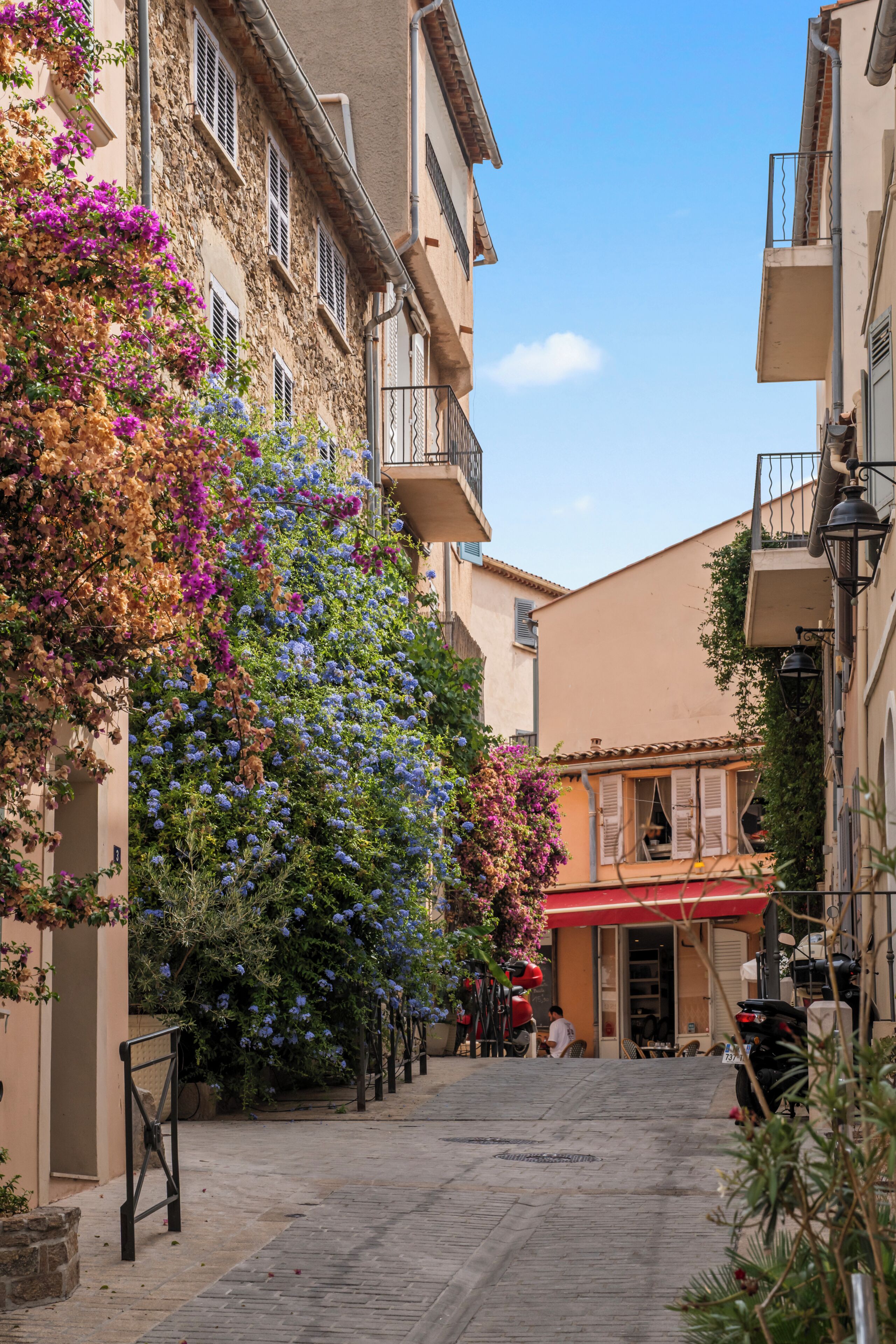 Une rue étroite, bordée de bâtiments des deux côtés, un arbre aux fleurs violettes et bleues, et un auvent rouge.