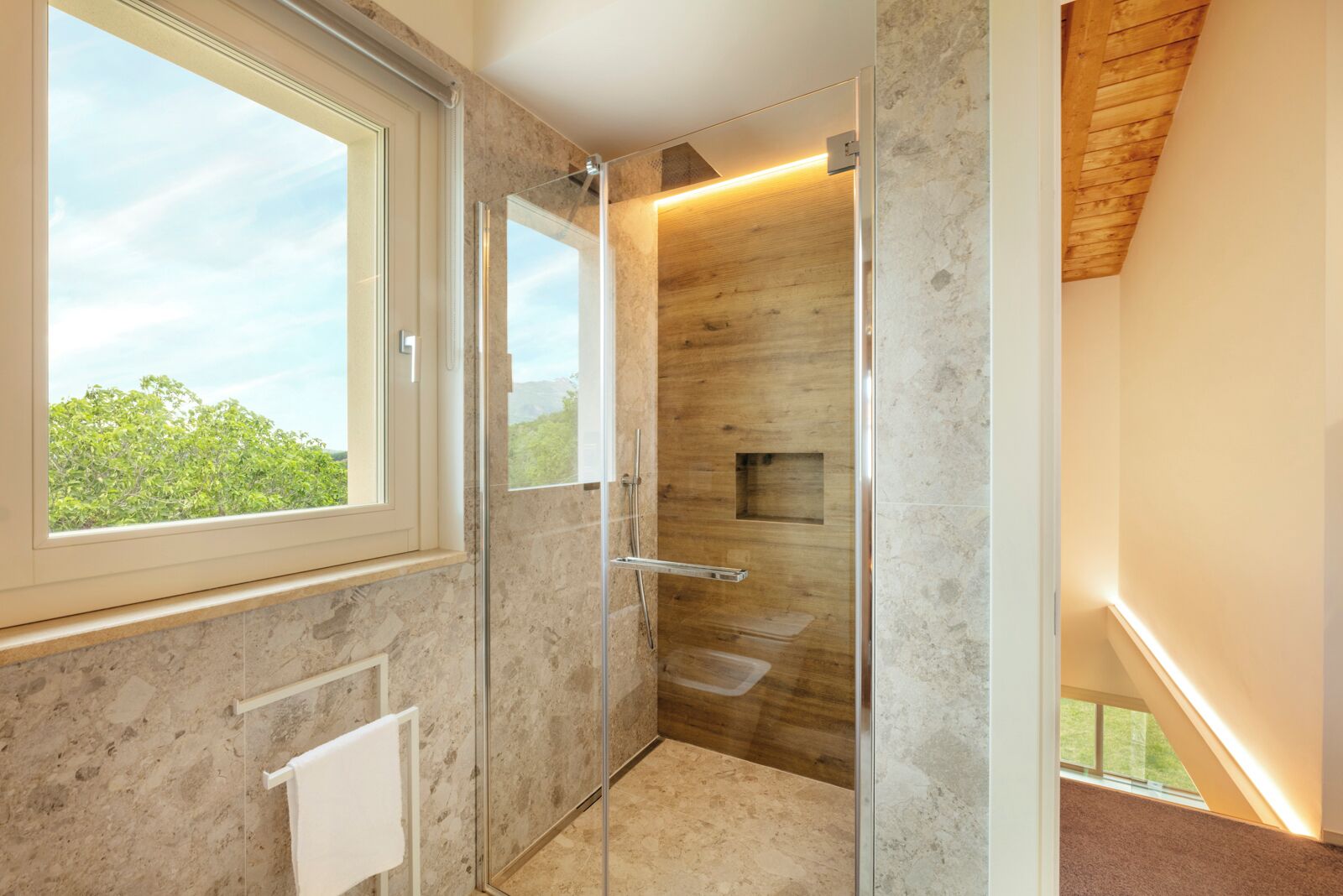 Shower, hair dryer, bidet, towels