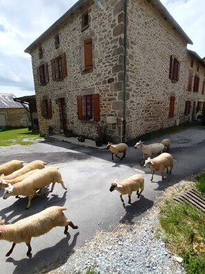 A stone building with multiple windows and a paved area. - Bed and Breakfast 'Chambre Henri À "La Parenthèse"' with Shared Garden and Wi-Fi (Folles)